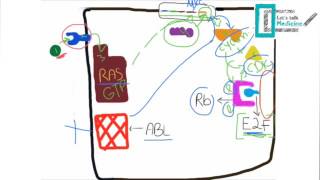 Molecular Basis of Carcinogenesis [upl. by Grantley53]