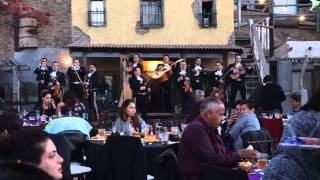 Mariachi at wedding reception [upl. by Beatty]