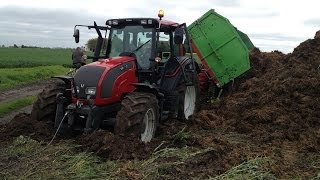 Wożenie Obornika WPADKA  Valtra T140 N101  Merlo P25 6 [upl. by Zoellick]