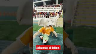 Mali vs Ivory Coast afcon2023 afcon2024 africacupofnations africancupofnations cotedivoire [upl. by Edan738]