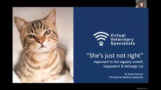 VVS Feline Medicine Webinar Shes just not right The Vague Cat with Dr Sarah Spencer [upl. by Ruscio]