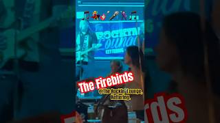 The Firebirds 🎵💃🎸🎤🕺🏻🎵 rocknroll rockabilly livemusic [upl. by Ellehsal642]