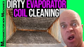 Dirty Evaporator Coil Cleaning [upl. by Meraree97]