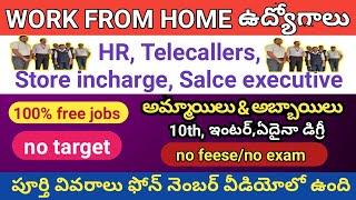 Work From Home Jobs  Hr Telecaller Store Incharge Jobs  Male And Female Jobs  10th To Any Degree [upl. by Adihsaar446]