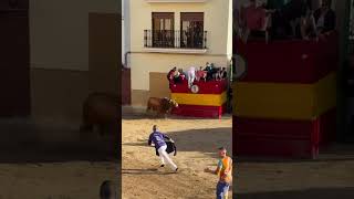 SALIDAS DE LOS 4 TOROS DEL SABADO DE FIRA DONDA torotoro toros bous onda bousalcarrer [upl. by Attiuqram]