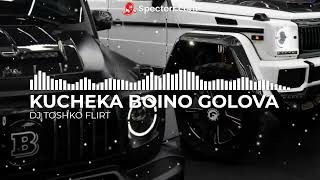 KUCHEKA BUINO GOLOVA REMIX BY DJ TOSHKO FLIRT [upl. by Drarej]