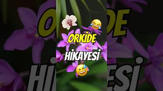 ORKİDE HİKAYESİ 😂😅🌺🌸 mizah komikvideo komedi karamizah hikaye mizahminibüsü mizahminibüsü [upl. by Adnaloy]