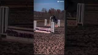 Show vlog coming soon iea hunterjumpers [upl. by Ahtibat]