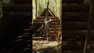 Big log house part 1 survival bushcraft camping survivalshelter [upl. by Cleodell11]