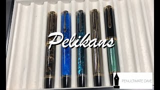 Pelikan M800 and M1000 Comparison [upl. by Onyx719]