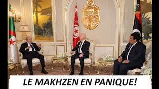 Le Makhzen  Et Mesmar  En Panique NA Plus Que LInslte Et Les Provocations Contre LAlgérie [upl. by Anialam]