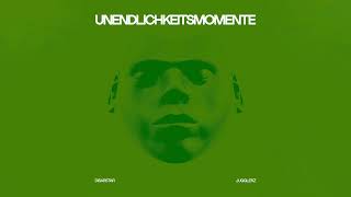 Disarstar x Jugglerz  Unendlichkeitsmomente Official Audio [upl. by Ahsienom657]