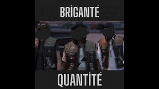 VISION Briganté  Quantité [upl. by Wenoa]