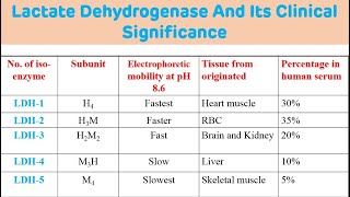 Lactate Dehydrogenase And Its Clinical Significance  LDH Biochemistry [upl. by Leahcym]