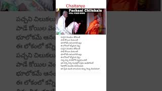 Pachani Chilukalu song  lyrics bharateeyudu movie Kamal Hassan [upl. by Gomer]