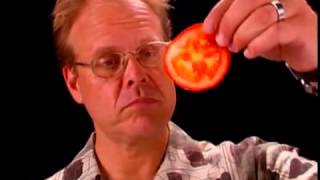 Shun Knife Anatomy  Alton Brown Shares why Shun Knives are His Favorite [upl. by Gio]