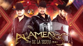 LOS ALAMEÑOS DE LA SIERRA🔥Huapangos Pa Bailar 2024🔥Popurri De Huapangos🔥Cumbias para Bailar 2024 [upl. by Ydarb234]