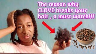 quotYour hair breaks off because of CLOVESquot The reason why CLOVE causes hair breakage how to fix it [upl. by Miof Mela]