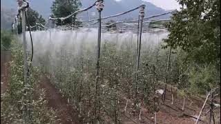 Drip irrigation system With Foger Netafim [upl. by Hillinck]