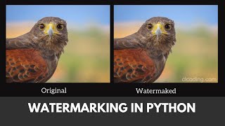 Day 195  Watermarking in Python [upl. by Yhtur]