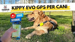 Localizzatore GPS per cani È davvero utile Recensione Kippy EVO [upl. by Ynnatirb73]