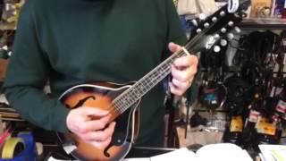 Fender mandolin FM 100 [upl. by Mathis]