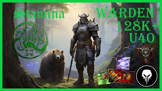 ESO Stamina Warden 128k Update 40 PS 5 EU [upl. by Ahseia]