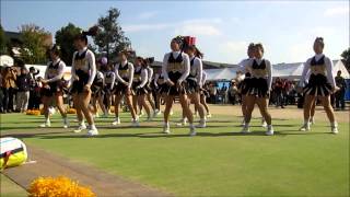 Kansai Gaidaisai 2013 Pyrates Cheerleading group [upl. by Ettelrahc574]