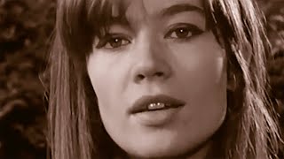 FRANCOISE HARDY  Lamitié remix 2011  2023 [upl. by Aramal]