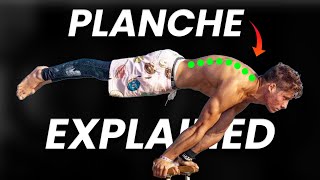 How Thomas Kurganov Learnt the Hollow Body Planche in 6 MONTHS  Full Interview [upl. by Amilah536]