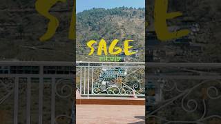 SAGE  Ritviz Dance Cover  PART 1 shorts dance youtubeshorts ritviz [upl. by Nylorac266]