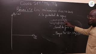 Cours  Tle S1 amp S2  SVT Résumé de cours  Le tissu nerveux les phénomènes électriques Suite 1 [upl. by Delanos]