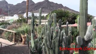 •●♥ Maspalomas♥●• Its very nice •●♥Gran Canaria♥●• [upl. by Nbi]