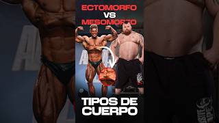 ENDOMORFO vs MESOMORFO los diferentes tipos de cuerpo cual tenéis gym gimnasio mosomorfo fit [upl. by Nelia]