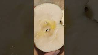 asmrsounds peeling slicing A LOVELY DAY IS LOVELIER WITH APPLE🍎 asmreating apple fruit shorts [upl. by King]