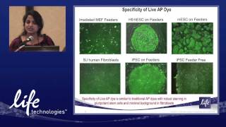 Live alkaline phosphatase staining presentation [upl. by Ailla306]