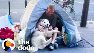 Husky Becomes Obsessed With Homeless Man And Helps Change His Life Forever  The Dodo [upl. by Previdi808]