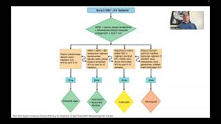 10 Years of Experience with ARNI SacubitrilValsartan in the Treatment of Heart Failure [upl. by Niad]