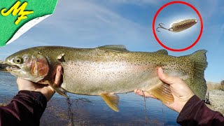 Trout fishing the Snake River [upl. by Mccormick709]