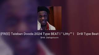 FREE Taleban Dooda 2024 Type BEAT   Littyquotquot  Drill Type Beat [upl. by Haynor]