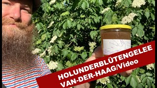 Weltbestes Holunderblütengelee  schnell und einfach nachzukochen  VANDERHAAG [upl. by Elleirua193]