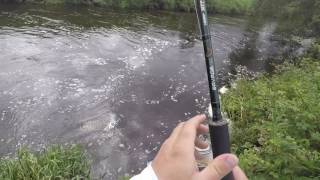 Salmon fishing on the River Girvan [upl. by Derrek146]