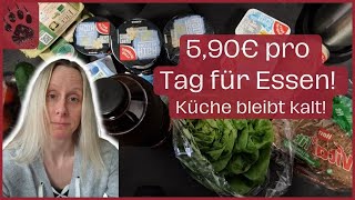 SPAREN PicNic Wocheneinkauf 🤩 ÄNDERUNG amp Kalte Küche 🤔 foodhaul budgetplanung sparen geld [upl. by Nylarat]