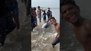 Biggest tuna fishes 1 lakh rupees cost  fishing tunafish beachboynaidu seafood vizagnaidu sea [upl. by Otrevire788]