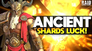 Ancient Shard Pulls were Amazing in Raid Shadow Legends [upl. by Aymahs]