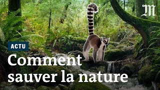 Quelles solutions resteil pour sauver la biodiversité [upl. by Fritts]