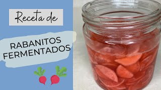 RABANITOS FERMENTADOS  Receta para fermentar en casa [upl. by Gnim701]