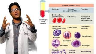 Function of Blood Bangla  রক্তের কাজ ও গঠন Medical Science  Anatomy and Physiology [upl. by Joelie]