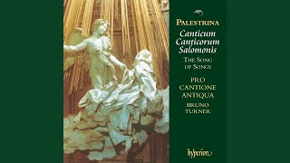 Palestrina Canticum Canticorum quotThe Song of Songsquot VII Fasciculus myrrhae dilectus meus [upl. by Ameyn878]