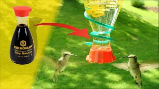 Easiest Cheapest Best DIY Hummingbird Feeder Ever from Soy Sauce [upl. by Benge]